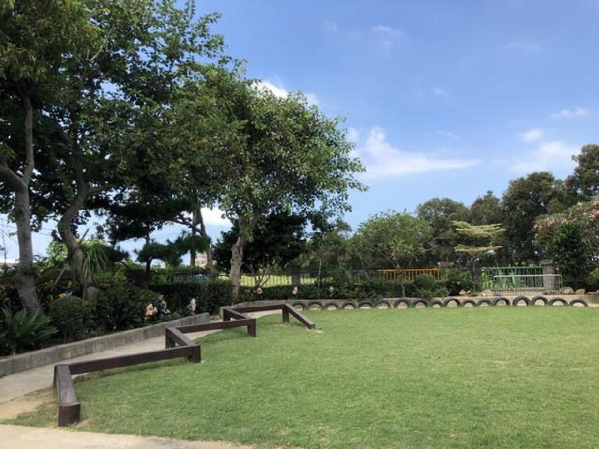 2.校園內的大草皮 2.校園內的大草皮
