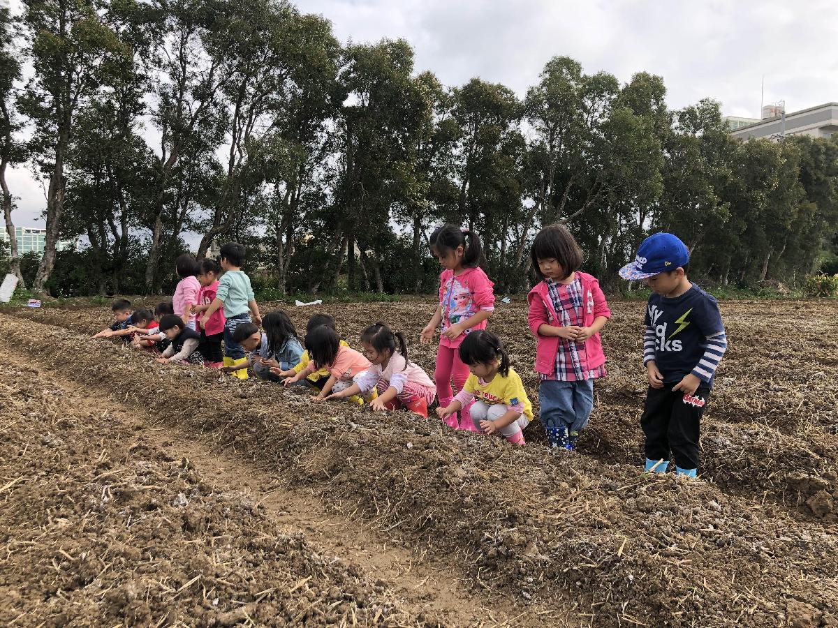 107-10-24~田園樂~種植蘿蔔趣 107-10-24~田園樂~種植蘿蔔趣