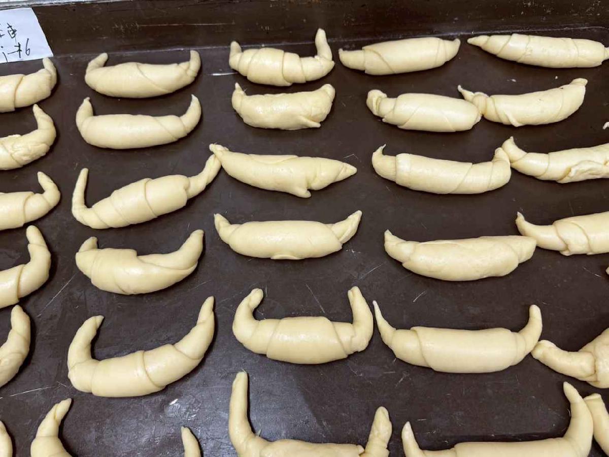 戶外教學～鶯歌之旅 (118)