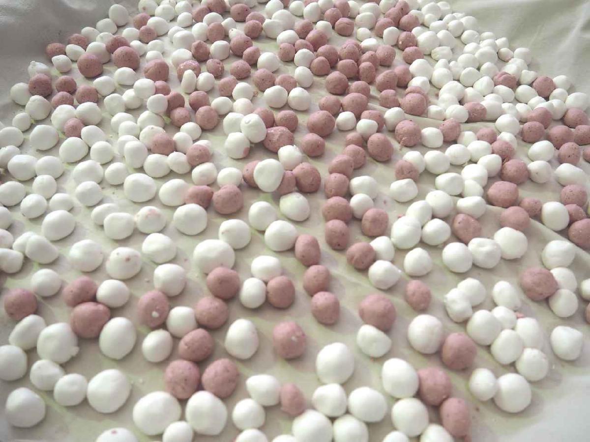 冬至搓湯圓 (41)