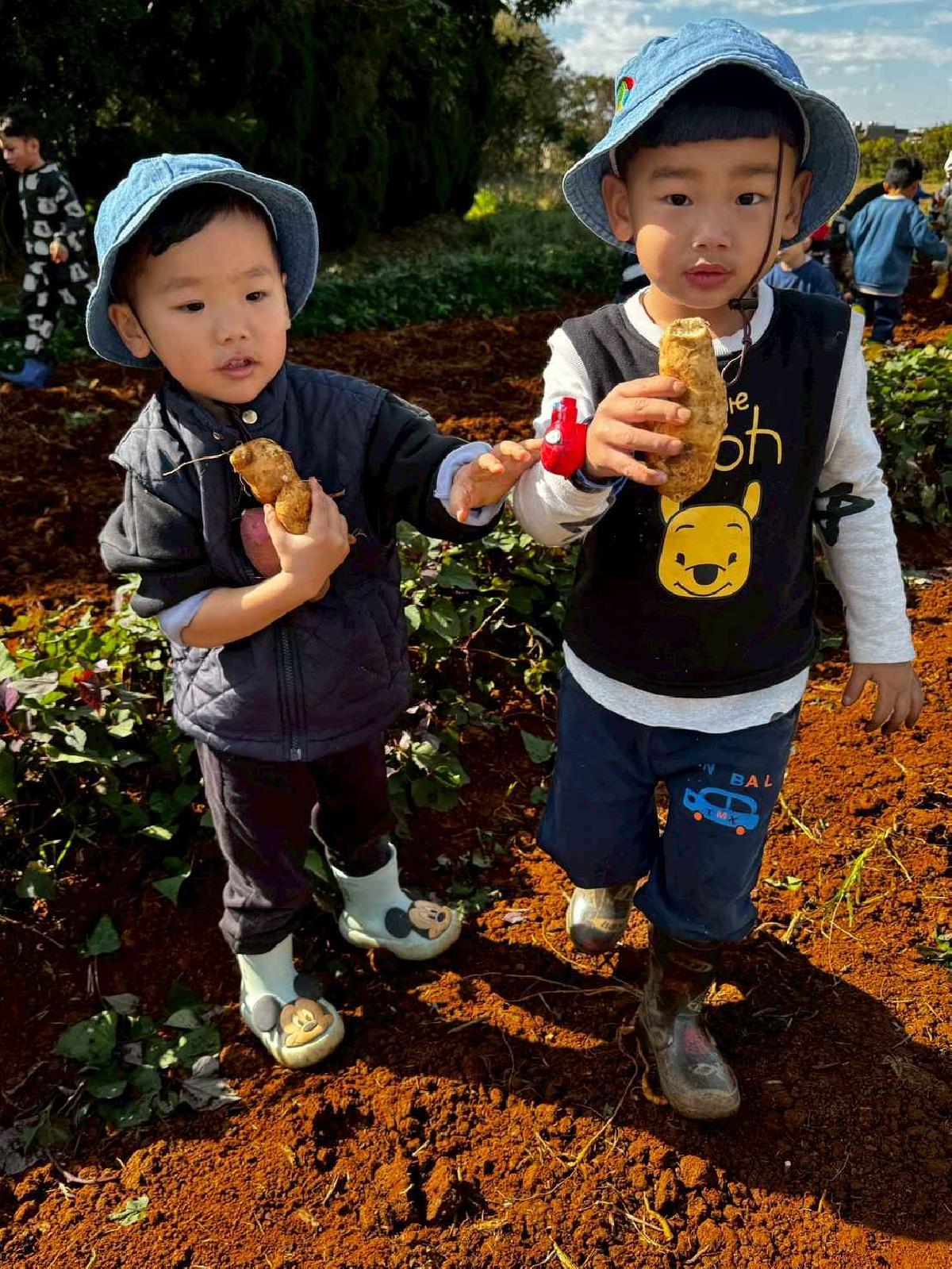 全園挖地瓜_251230_2 (6)