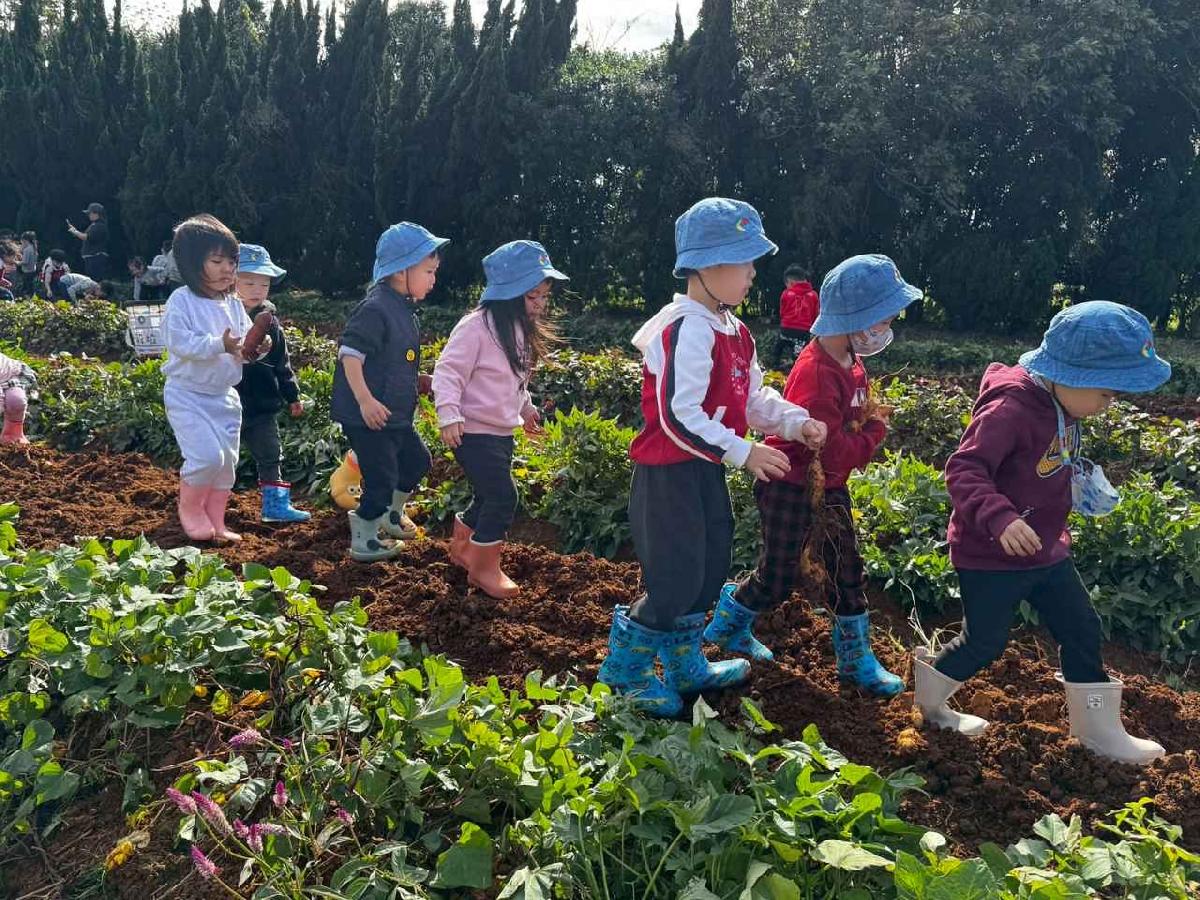 全園挖地瓜_251230_2 (10)