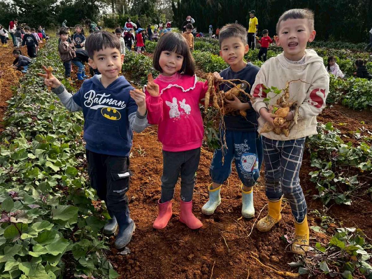 全園挖地瓜_251230_2 (11)