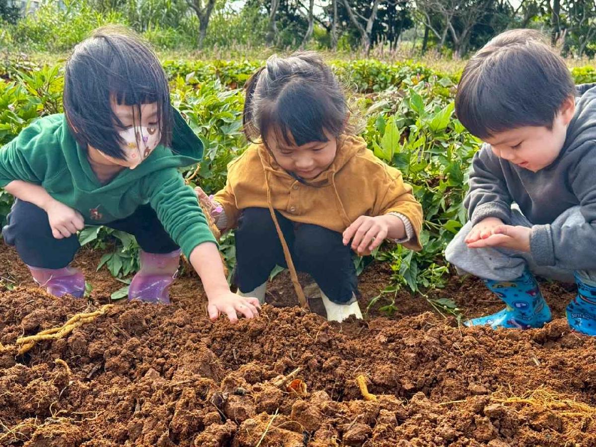 全園挖地瓜_251230_2 (12)