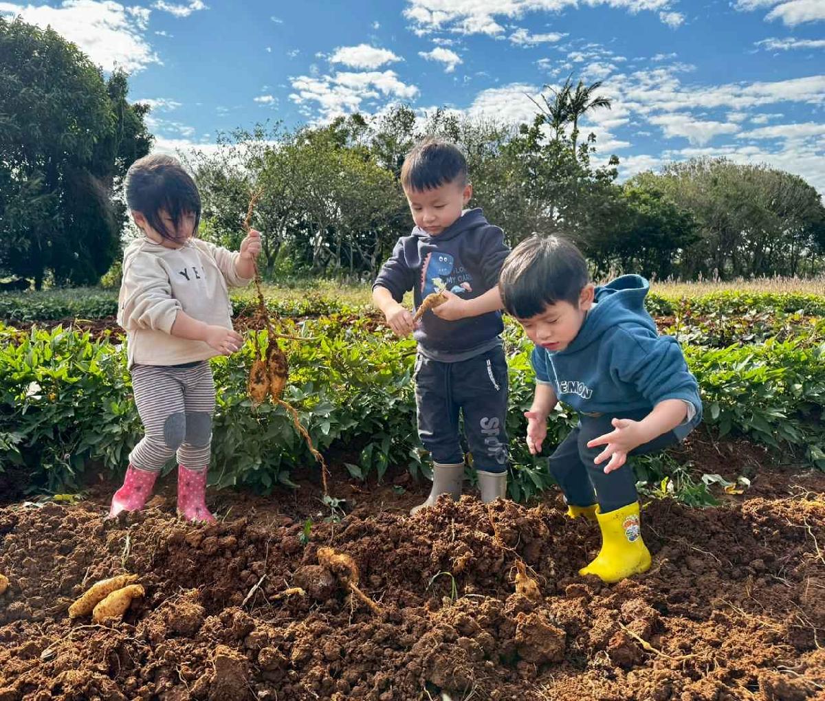 全園挖地瓜_251230_2 (14)