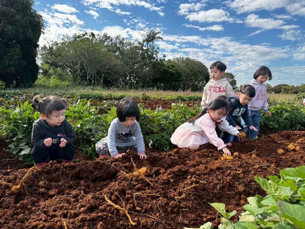 全園挖地瓜_251230_2 (17)