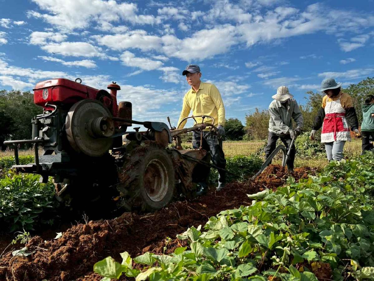 全園挖地瓜_251230_2 (20)