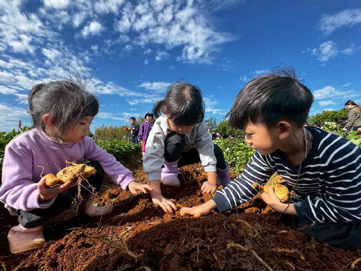 全園挖地瓜_251230_2 (22)