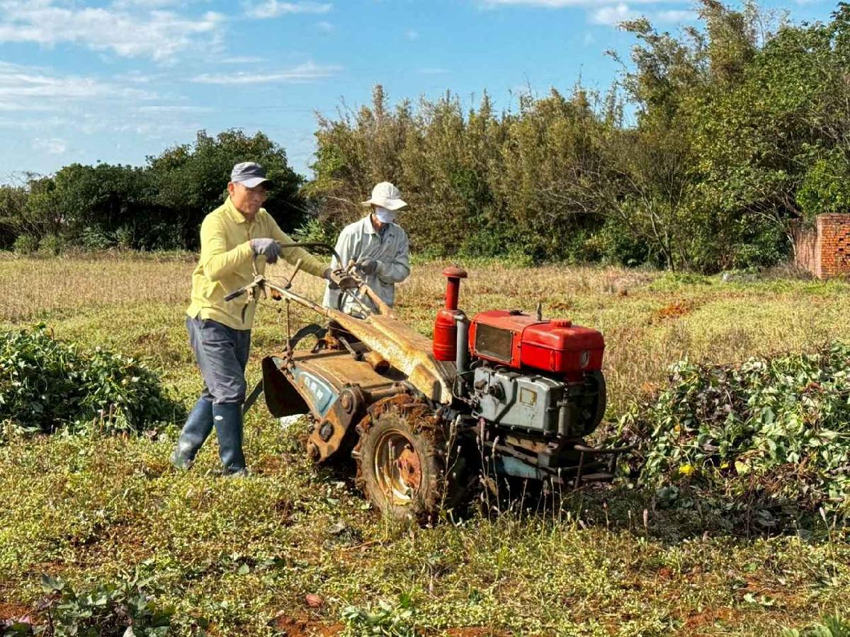 全園挖地瓜_251230_2 (23)