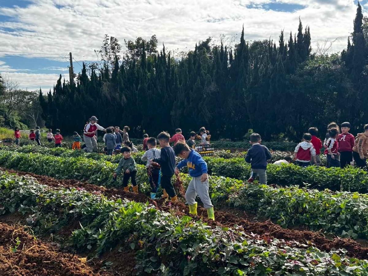 全園挖地瓜_251230_2 (27)