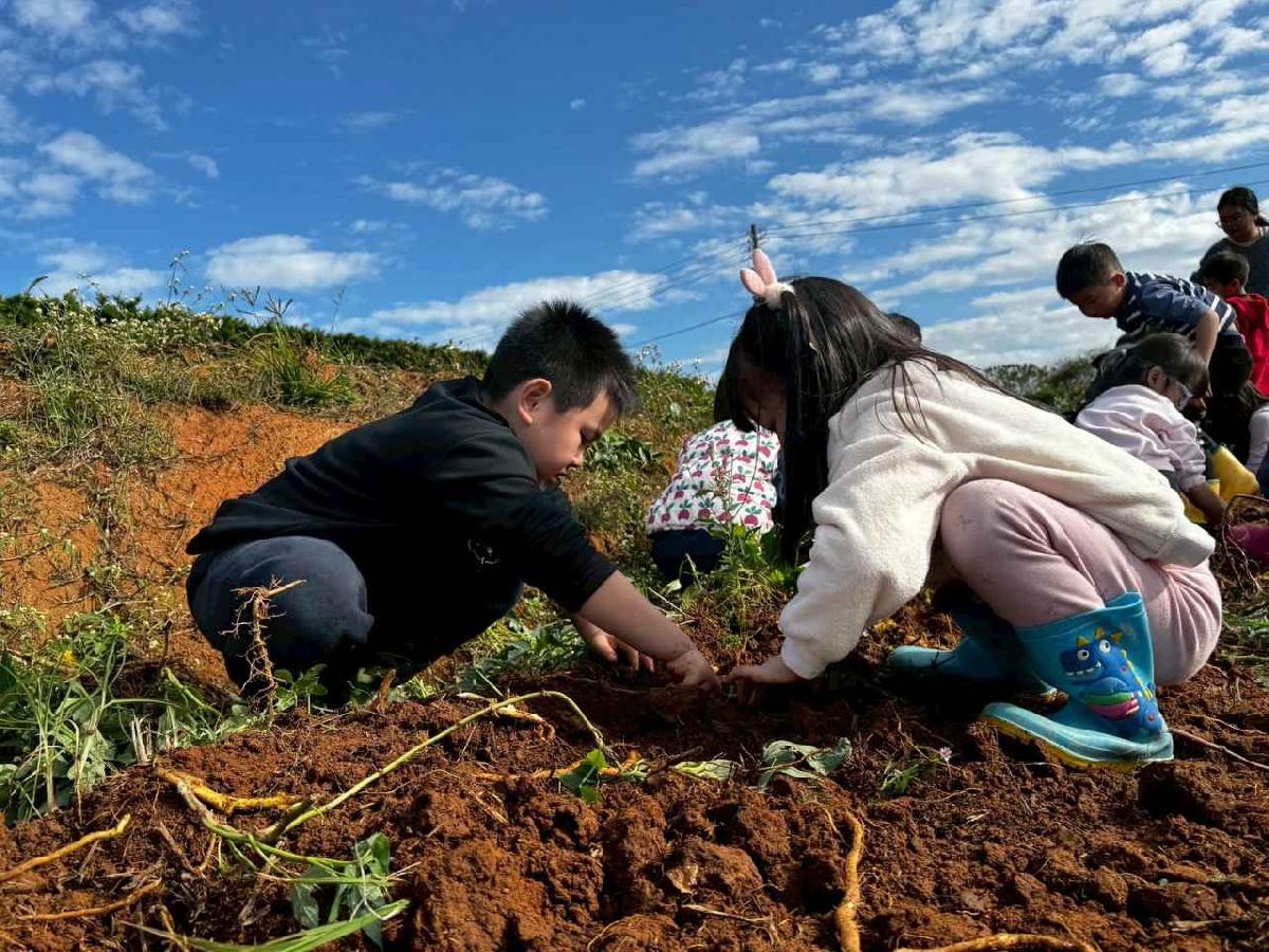 全園挖地瓜_251230_2 (28)