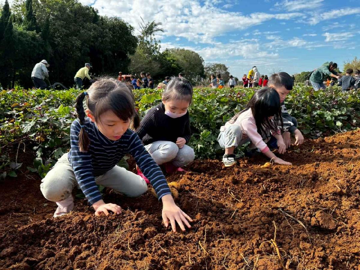 全園挖地瓜_251230_2 (29)