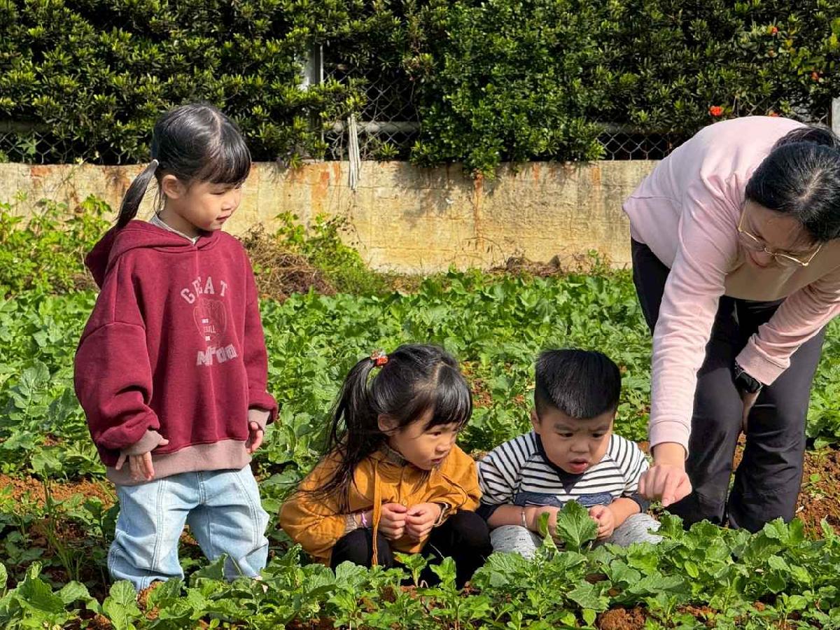 全園挖地瓜_251230_2 (33)