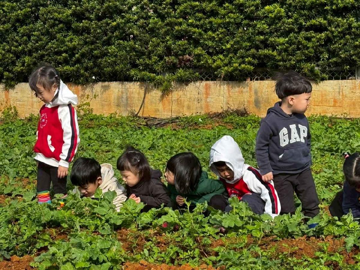 全園挖地瓜_251230_2 (32)