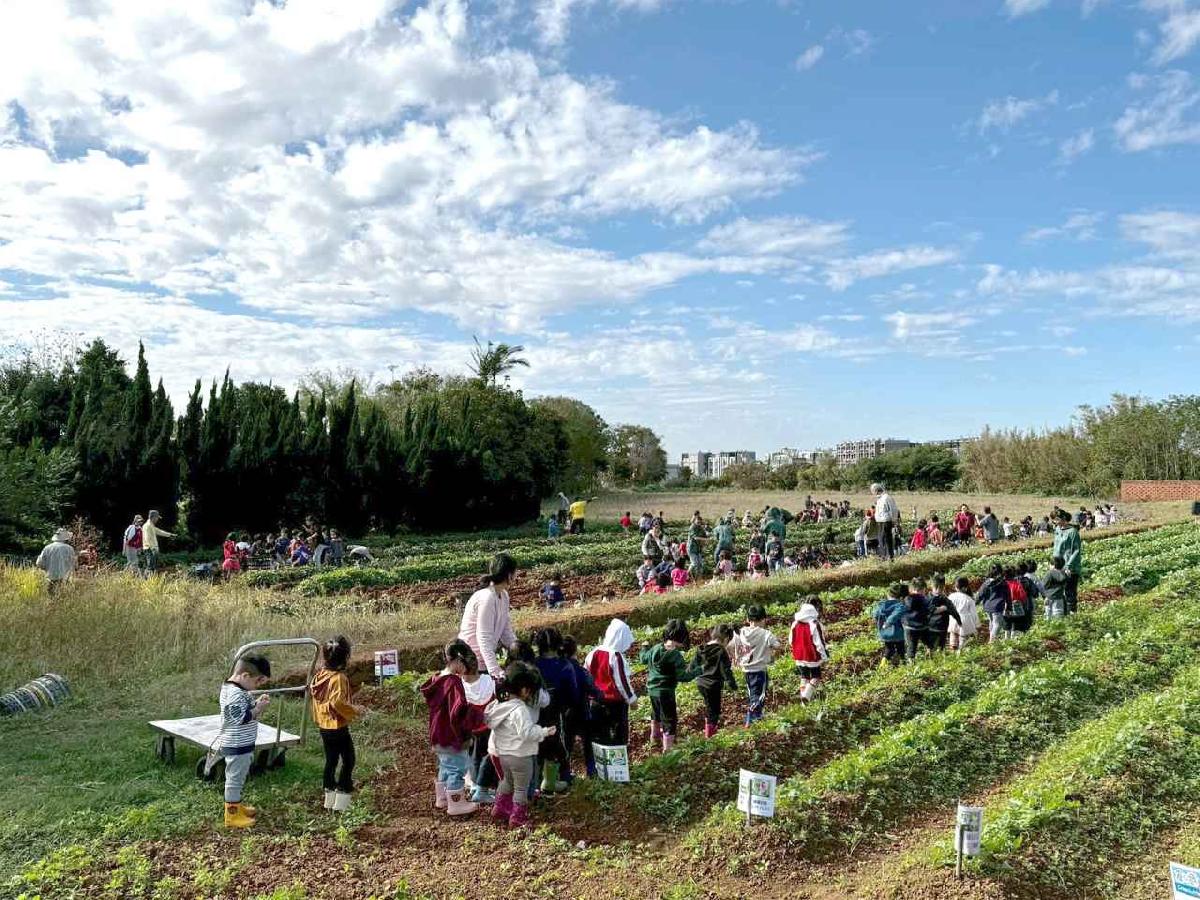 全園挖地瓜_251230_2 (35)