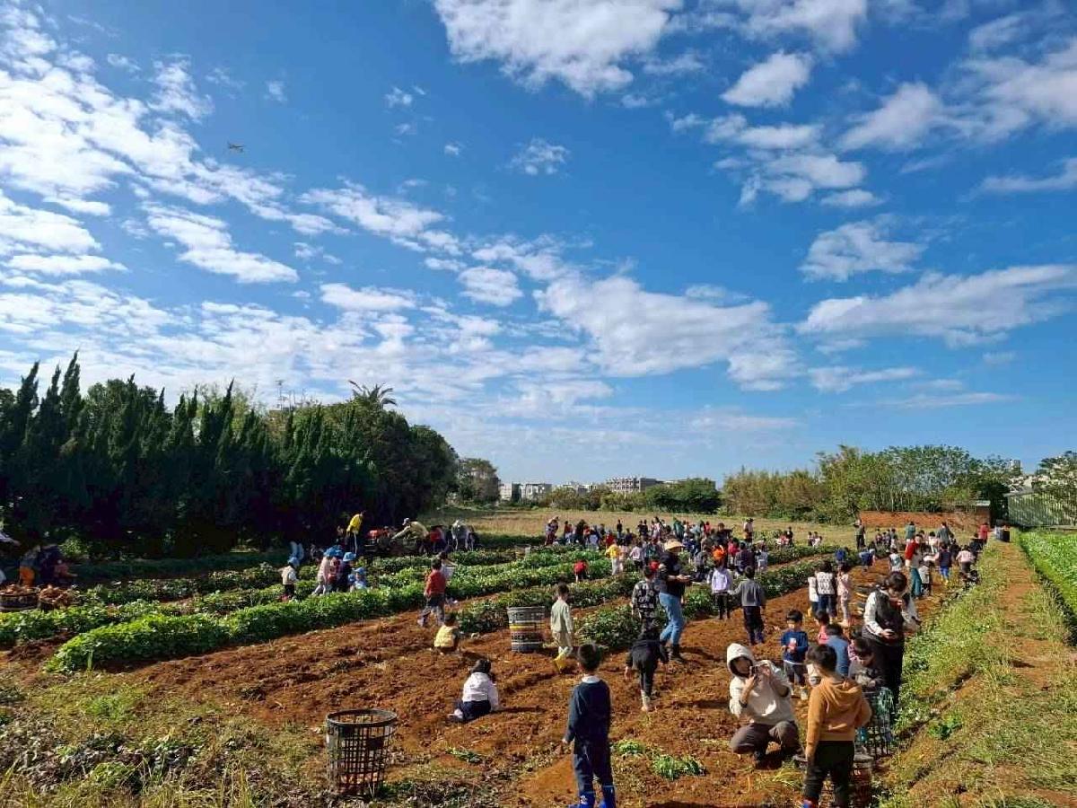 全園挖地瓜_251230_2 (36)