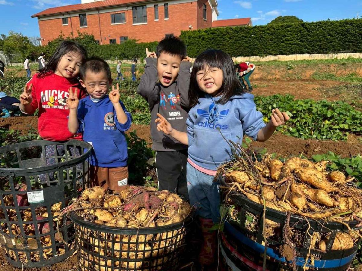 全園挖地瓜_251230_2 (42)