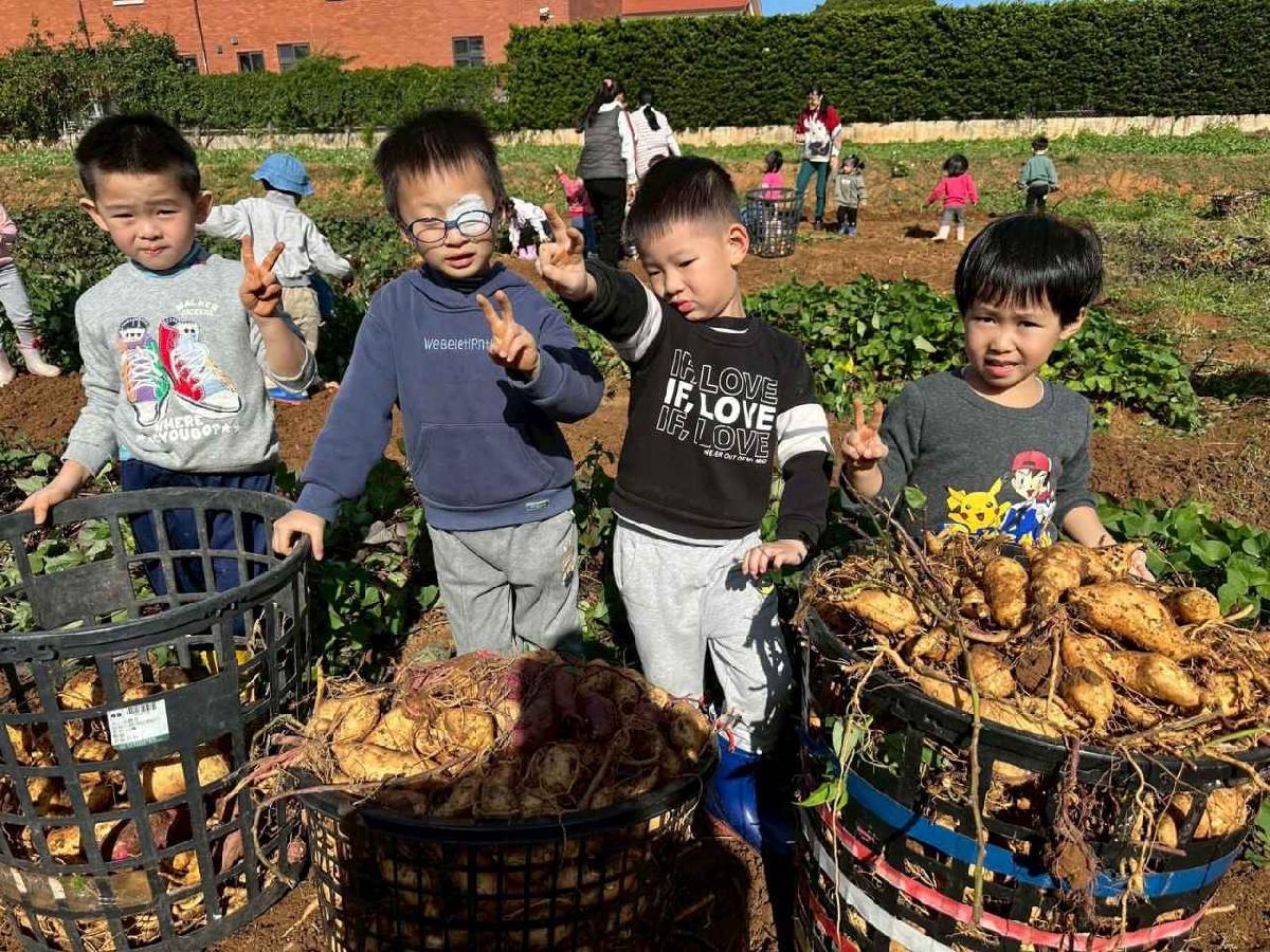 全園挖地瓜_251230_2 (43)