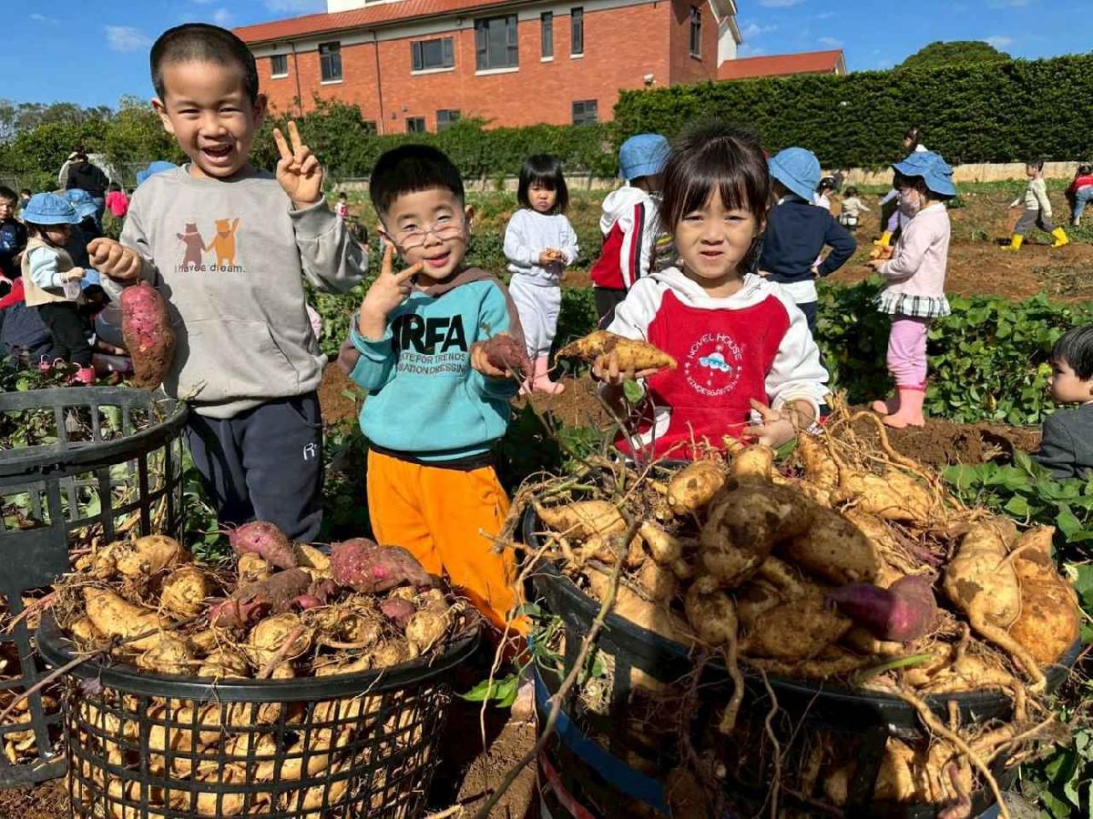 全園挖地瓜_251230_2 (45)