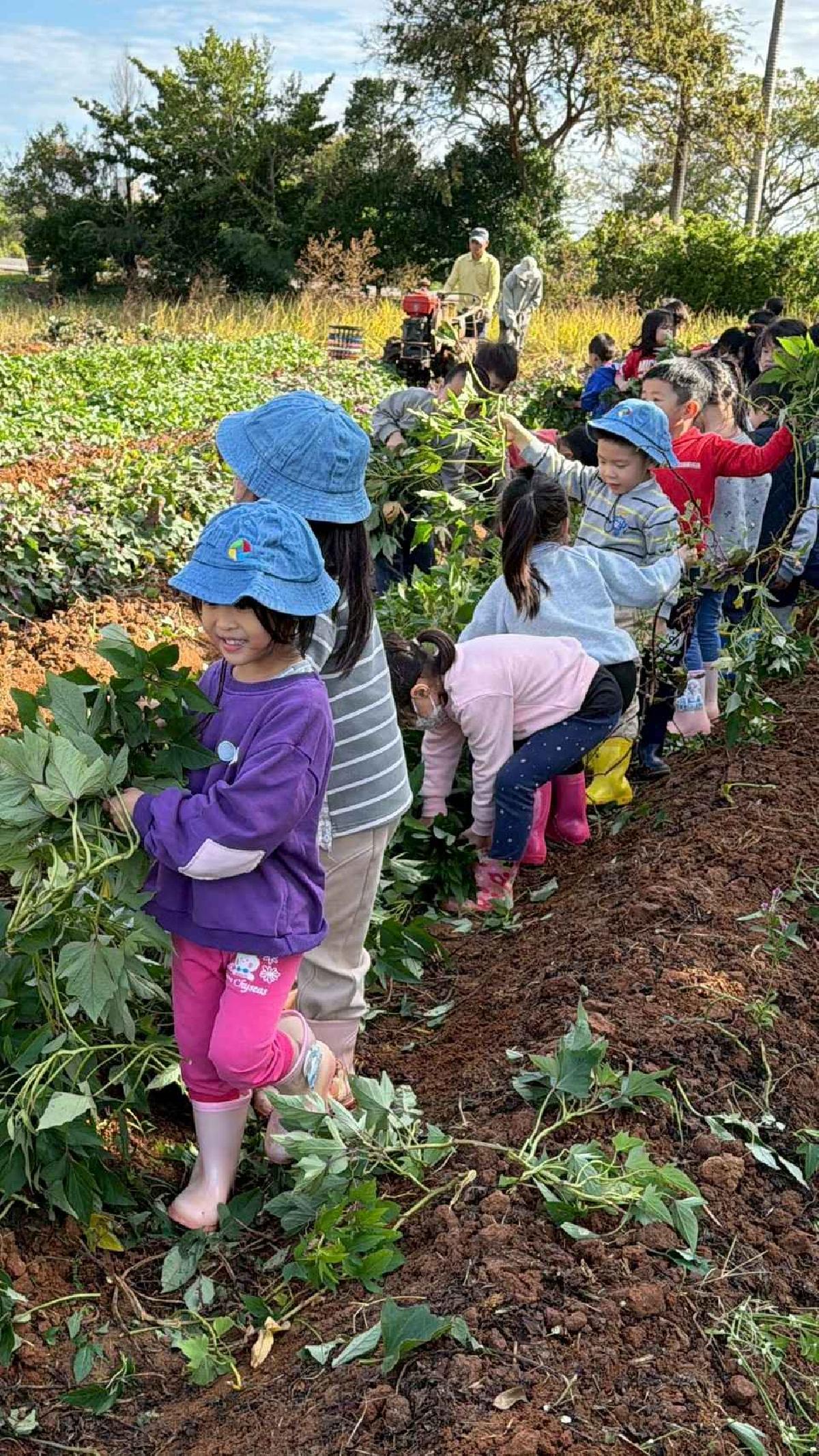 全園挖地瓜_251230_2 (52)