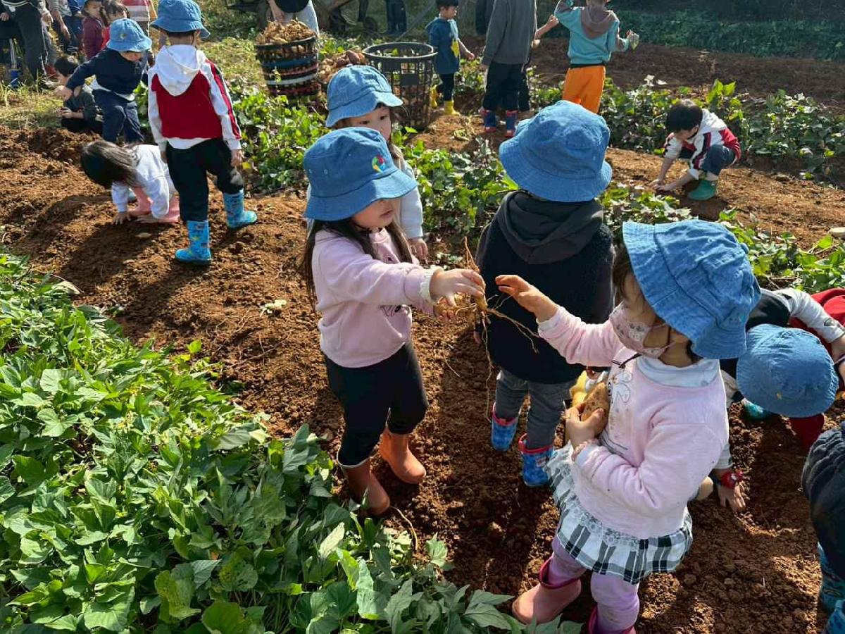 全園挖地瓜_251230_2 (56)