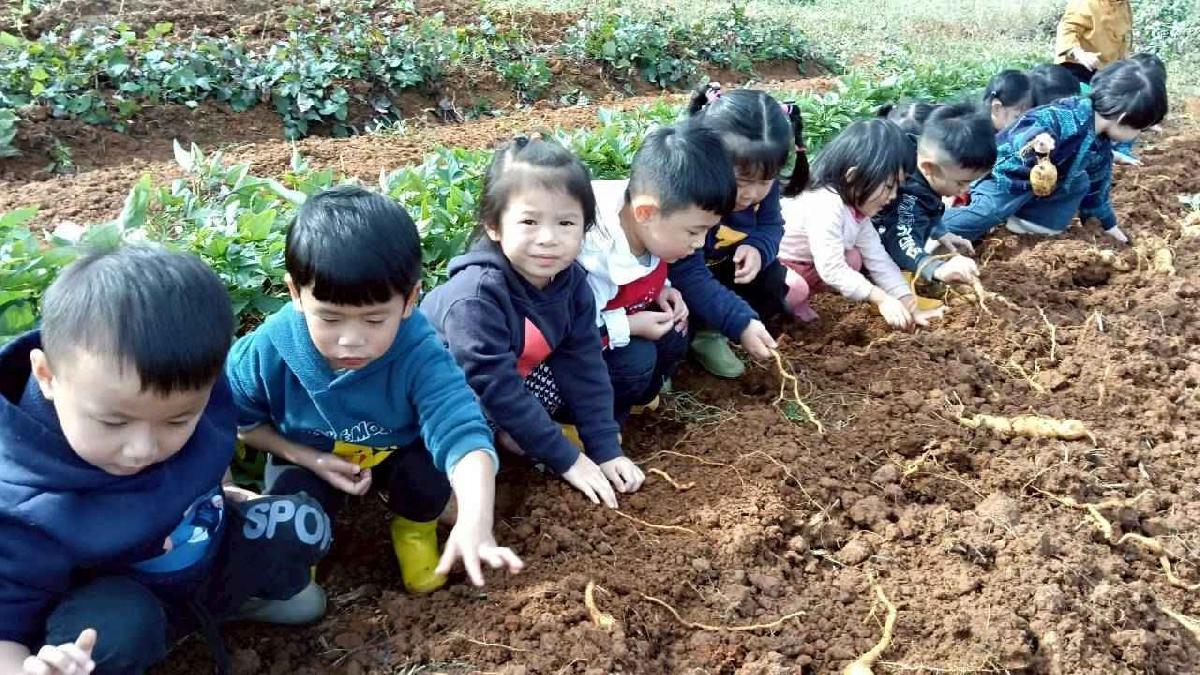 全園挖地瓜_251230_2 (64)