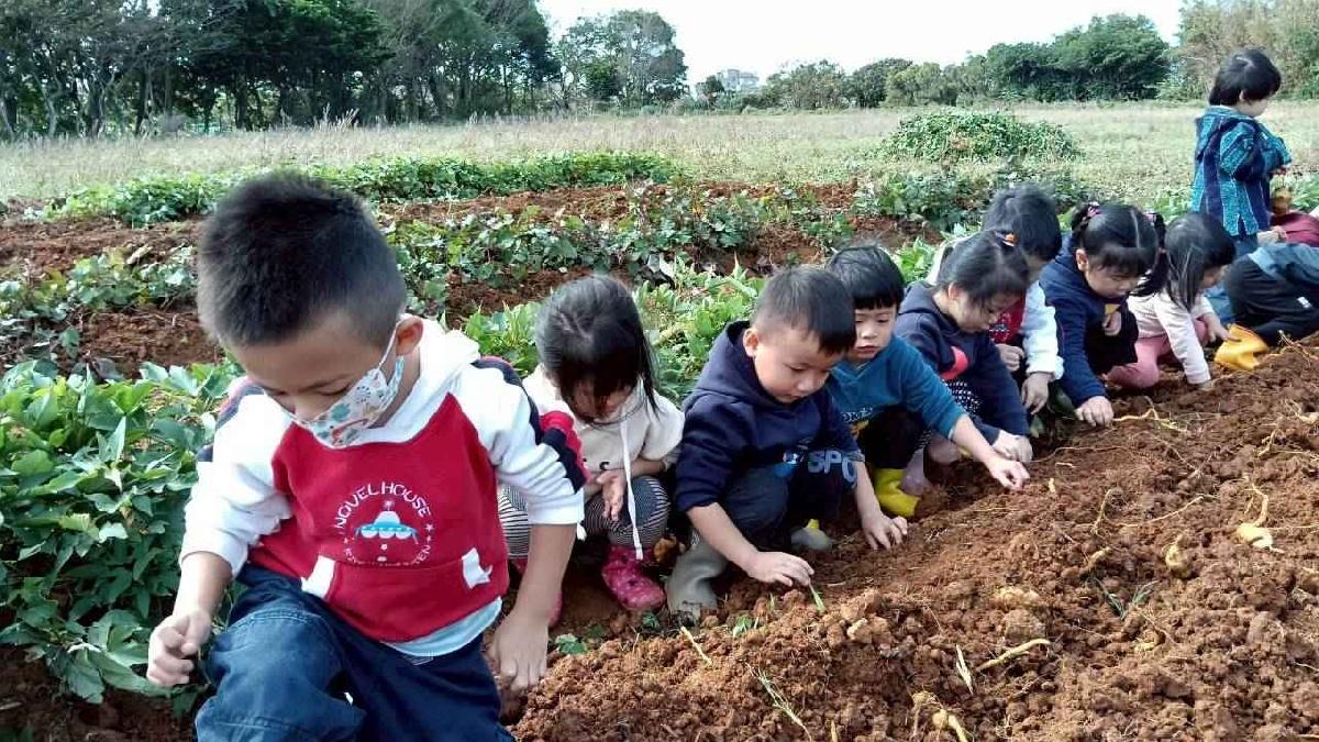 全園挖地瓜_251230_2 (65)