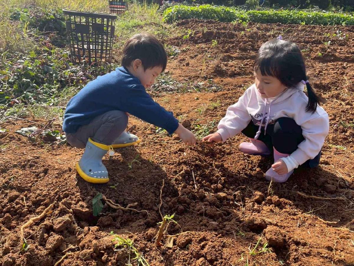 全園挖地瓜_251230_2 (68)