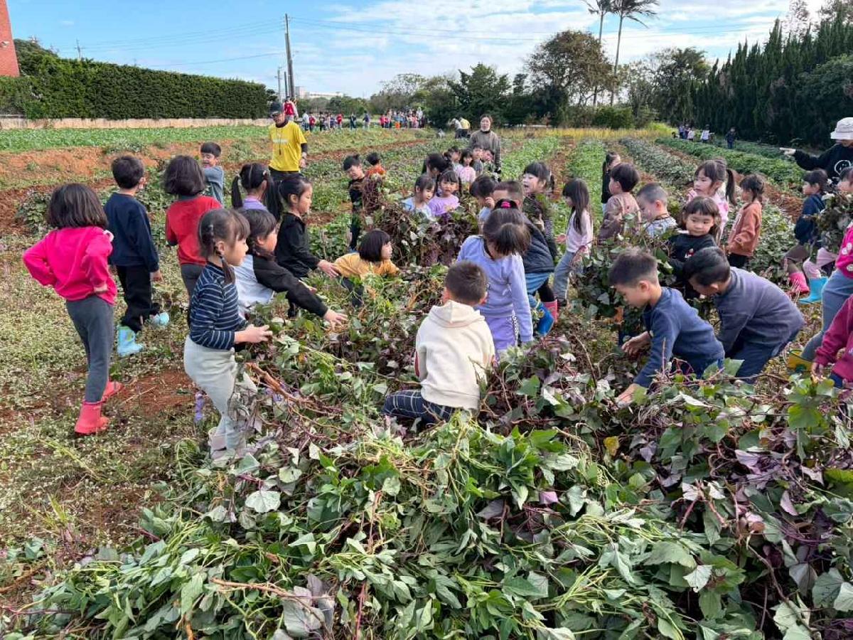 全園挖地瓜_251230_2 (67)