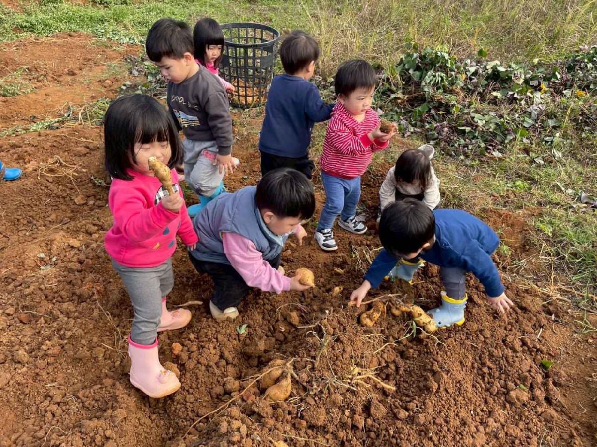 全園挖地瓜_251230_2 (70)