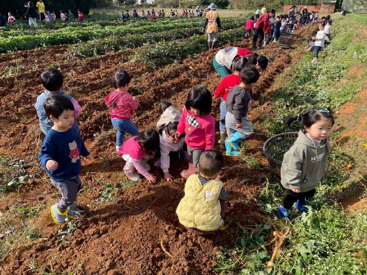 全園挖地瓜_251230_2 (71)