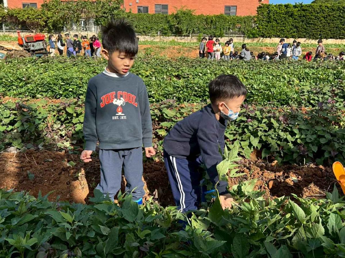 全園挖地瓜_251230_2 (73)