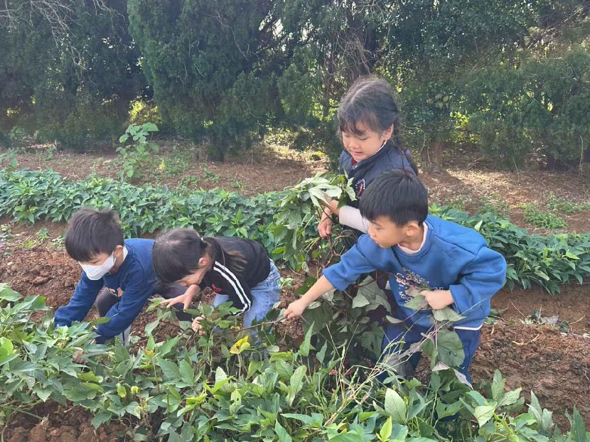 全園挖地瓜_251230_2 (74)