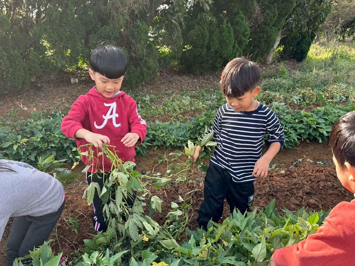 全園挖地瓜_251230_2 (76)