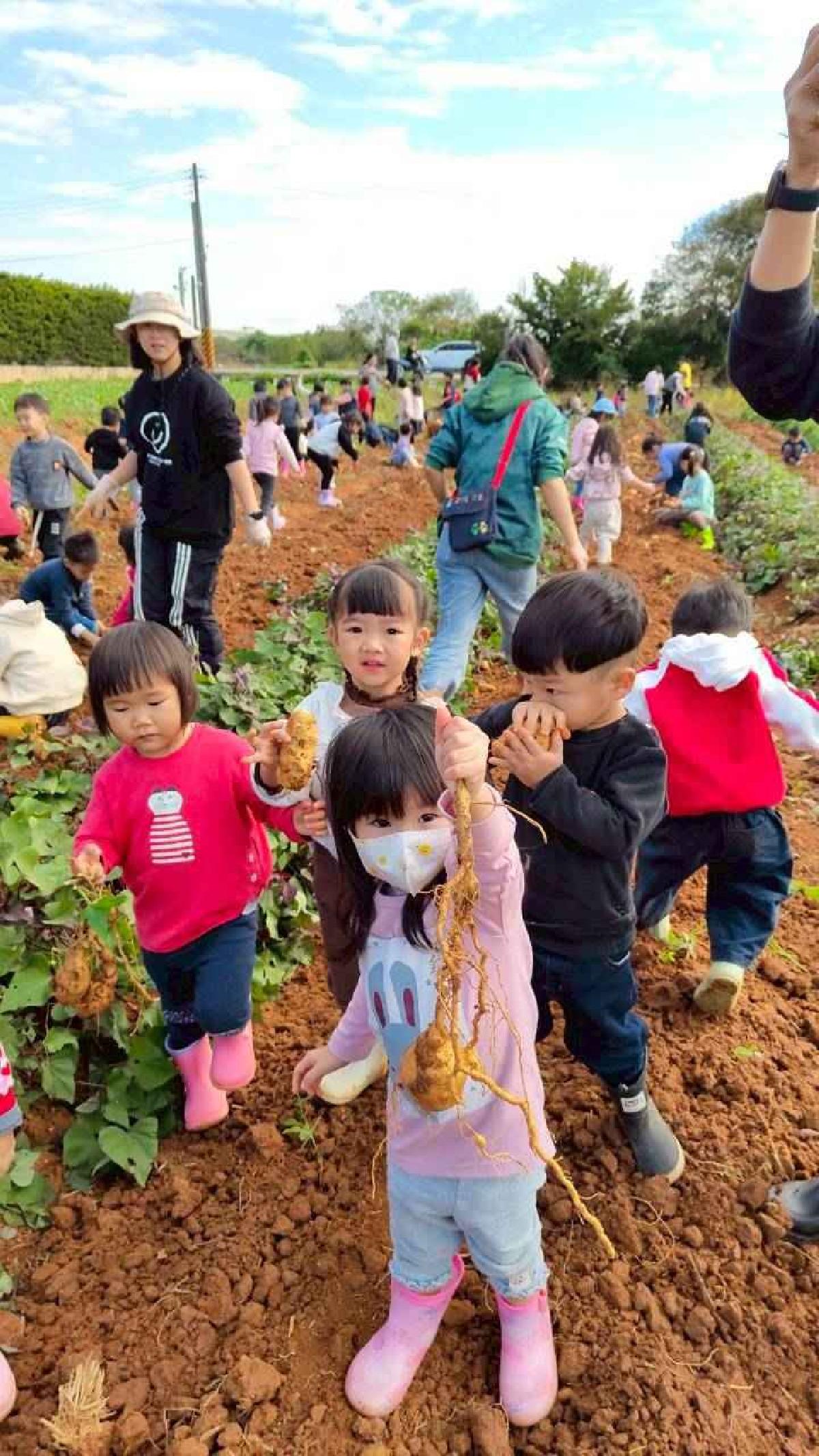 全園挖地瓜_251230_2 (79)