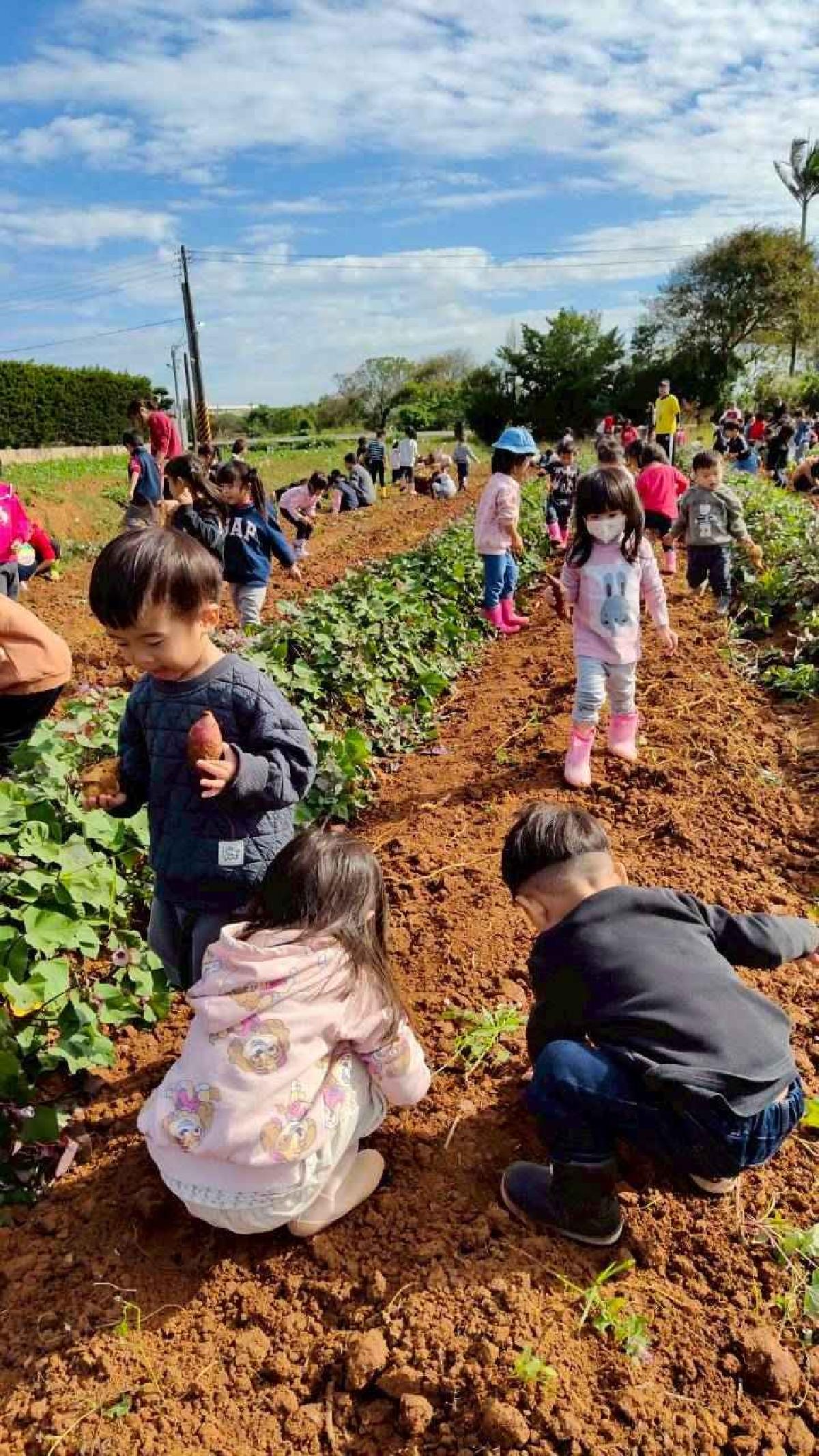 全園挖地瓜_251230_2 (80)