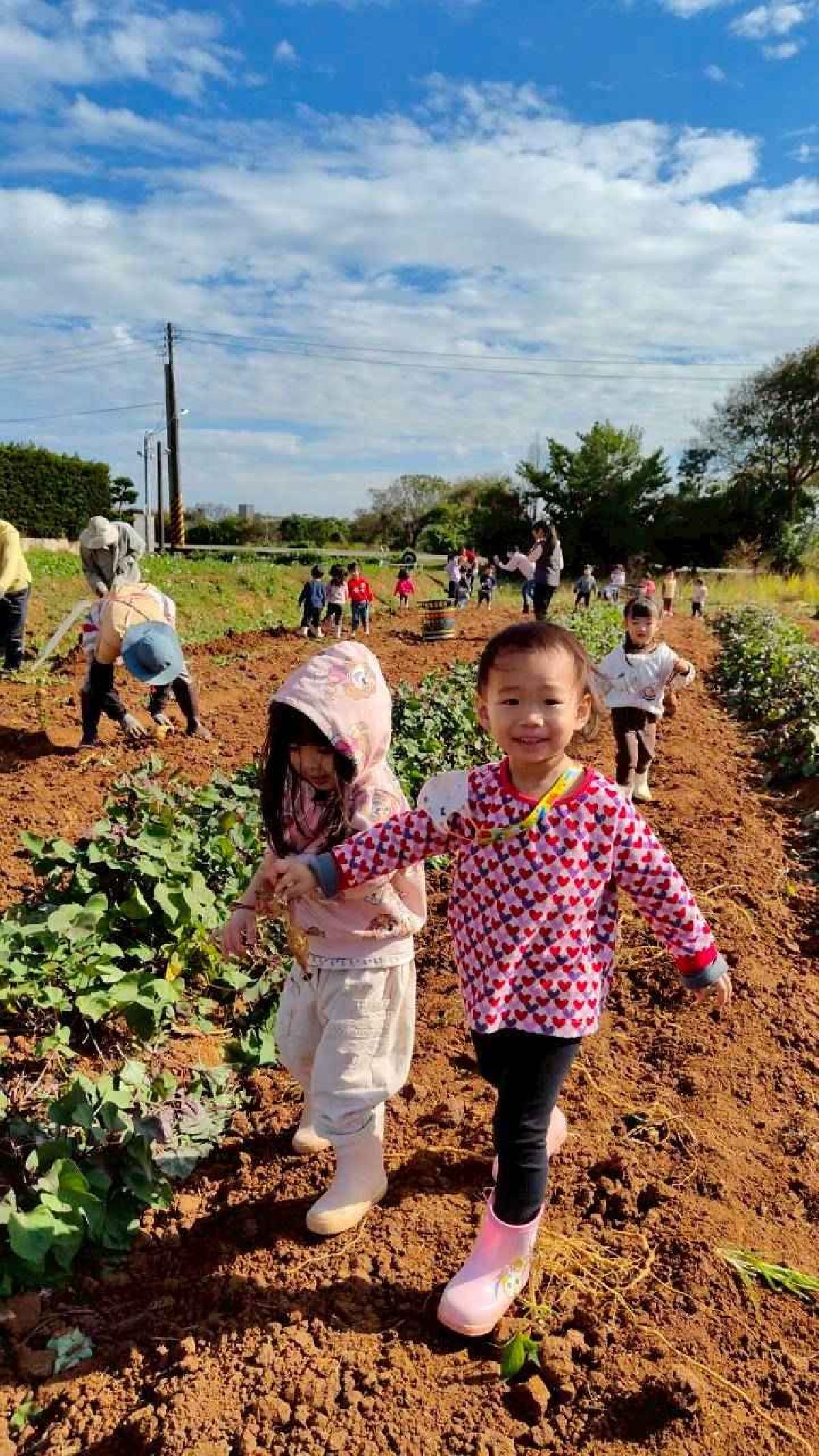 全園挖地瓜_251230_2 (82)