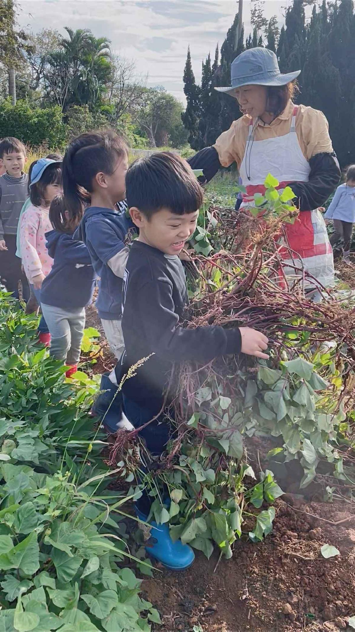 全園挖地瓜_251230_2 (83)