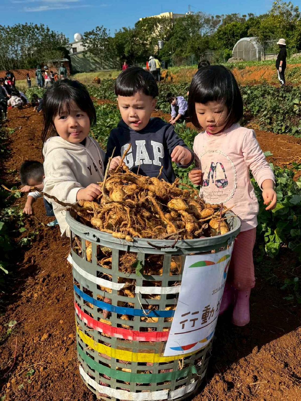 全園挖地瓜_251230_2 (4)