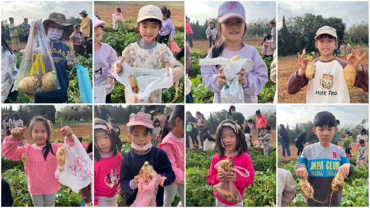 安親班挷菜頭 (2)