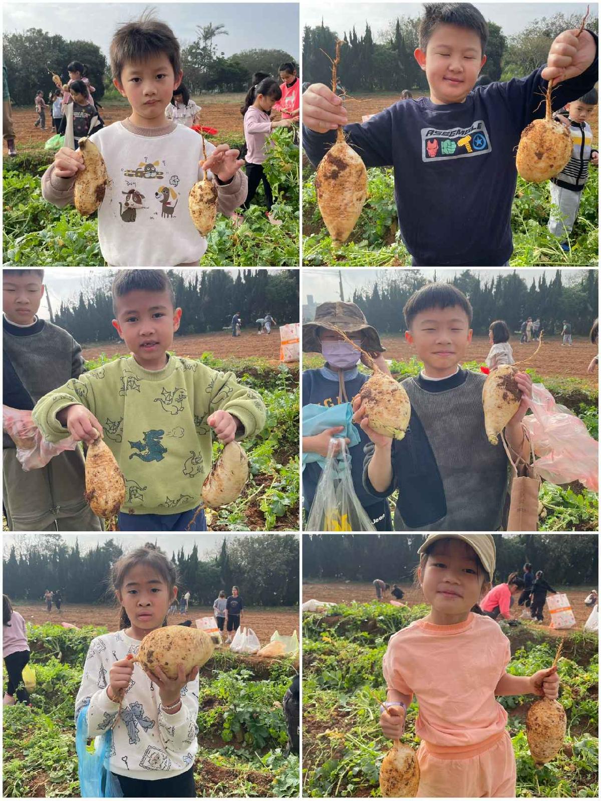 安親班挷菜頭 (3)