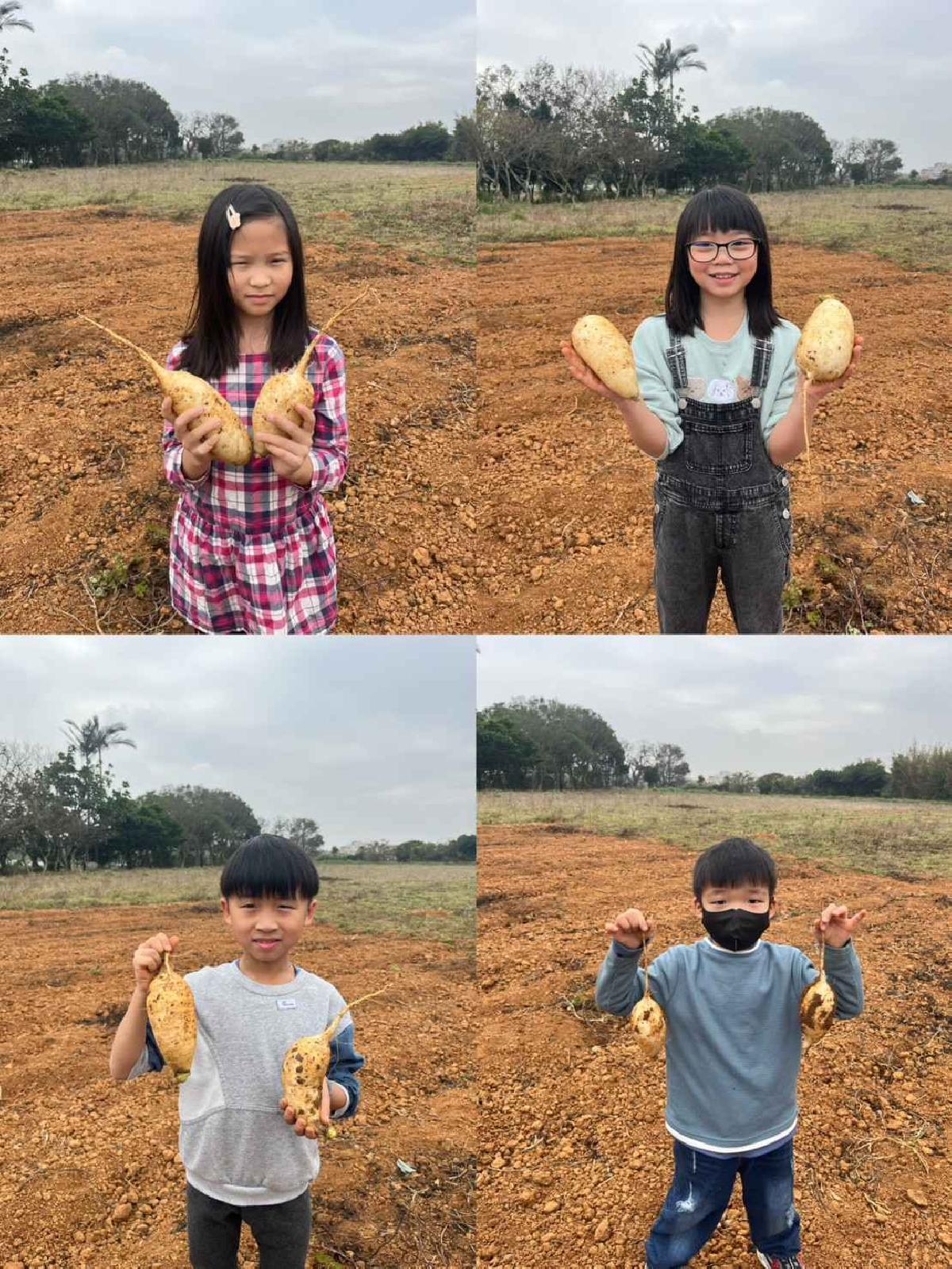 安親班挷菜頭 (8)