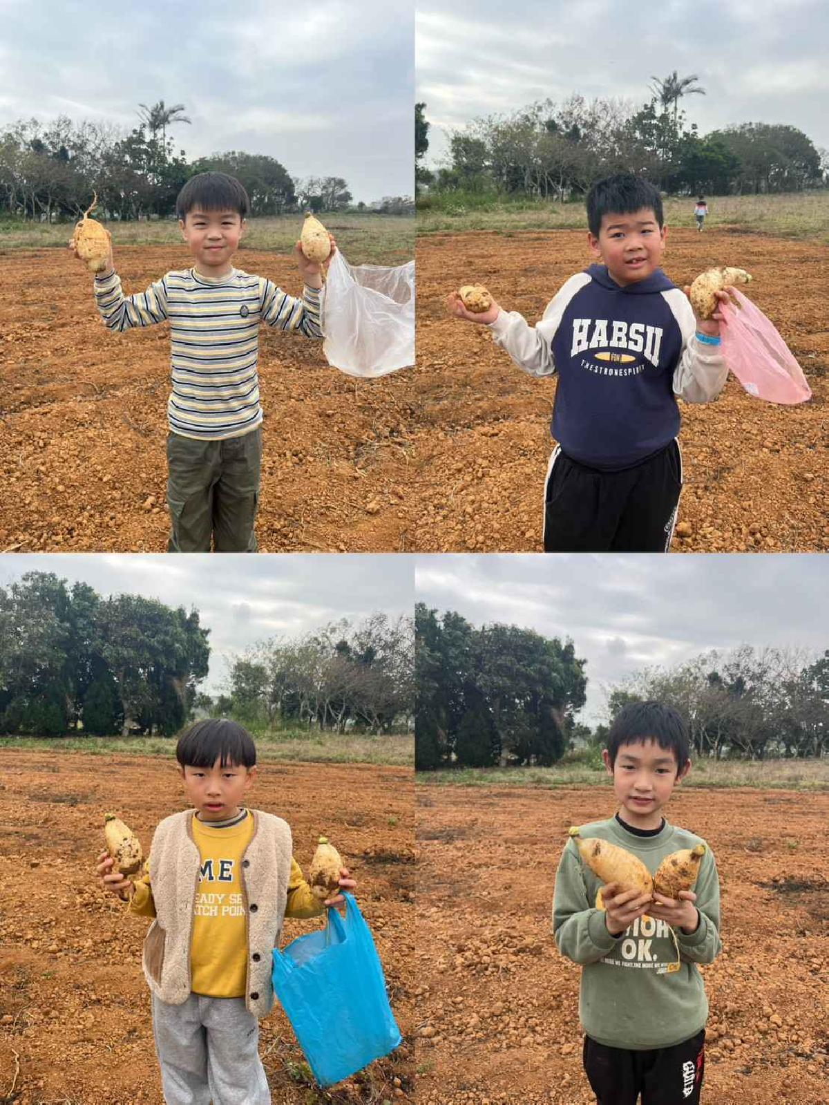 安親班挷菜頭 (10)