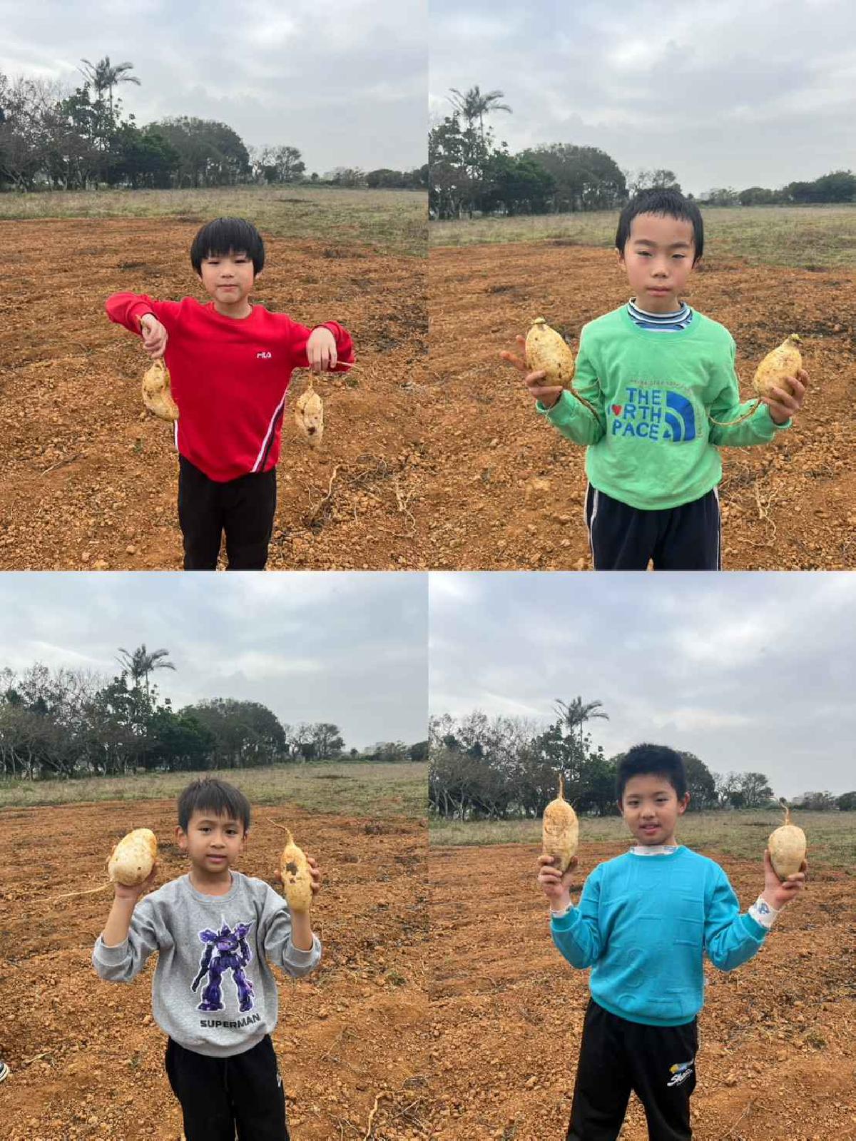 安親班挷菜頭 (11)