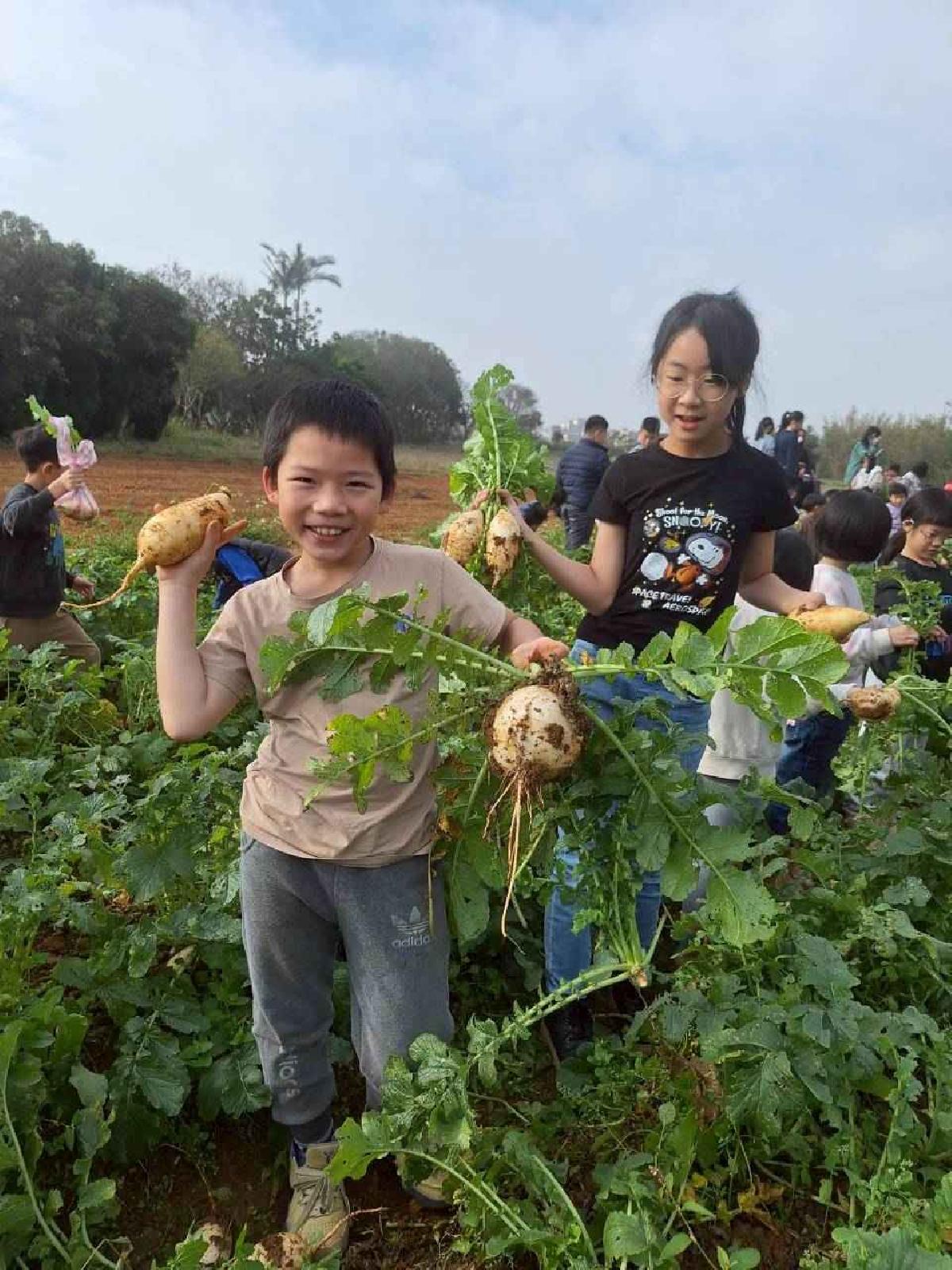 安親班挷菜頭 (13)