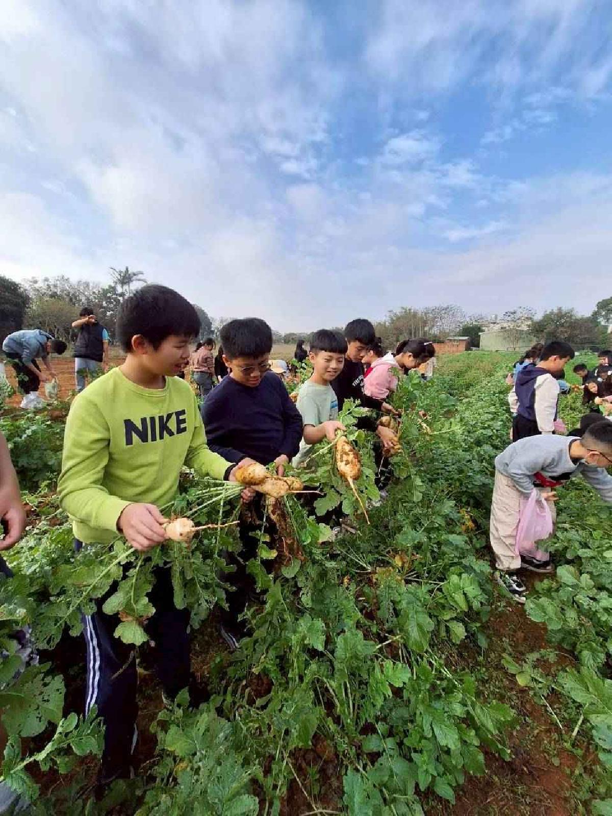 安親班挷菜頭 (14)