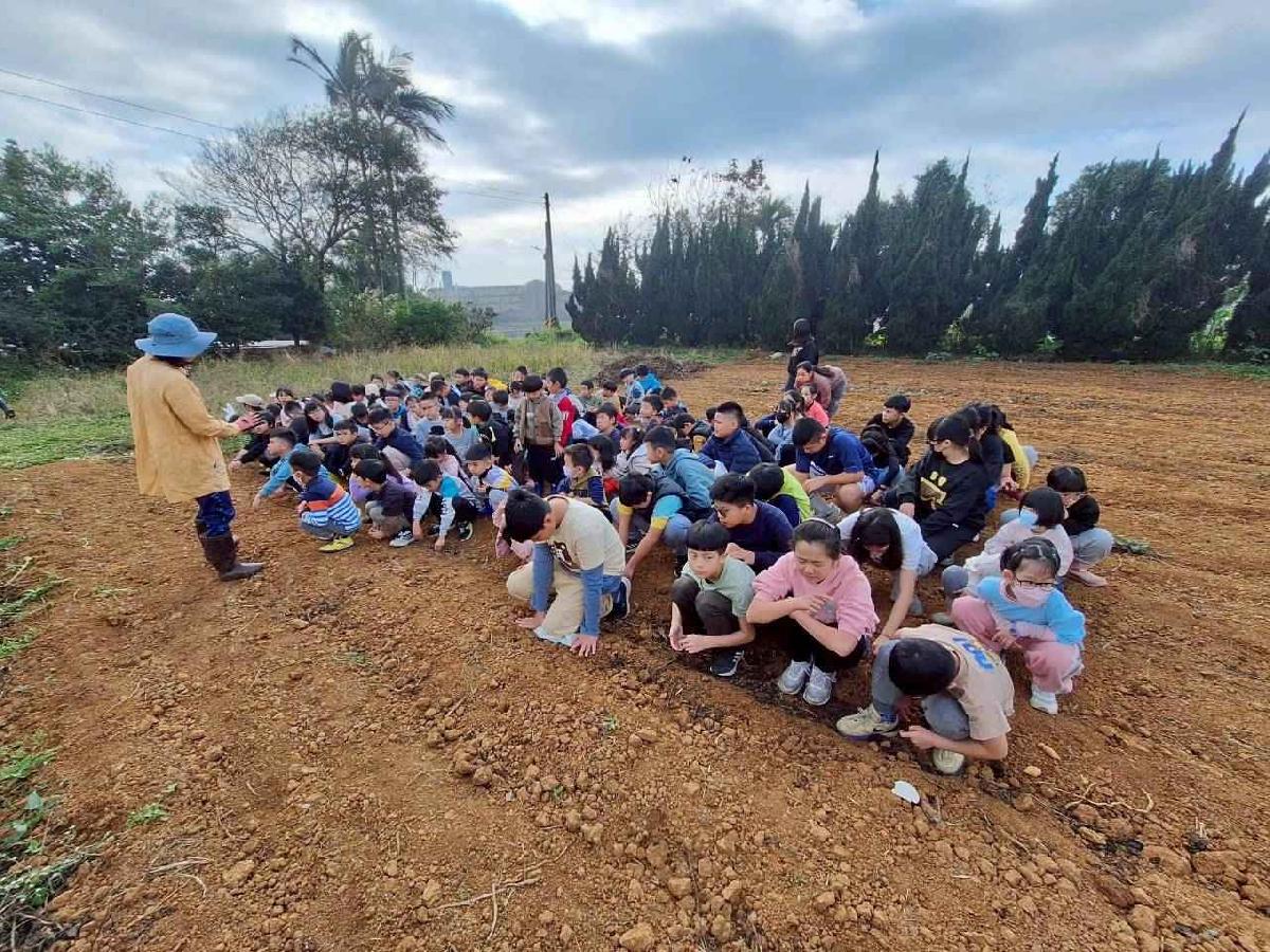 安親班挷菜頭 (18)