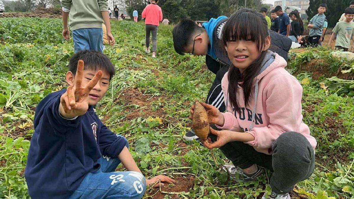 安親班挷菜頭 (19)