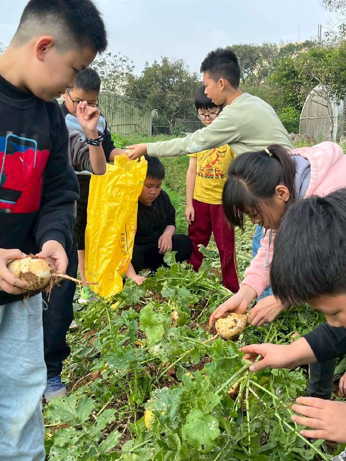 安親班挷菜頭 (21)