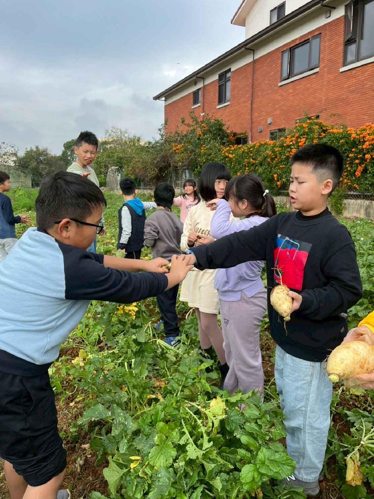 安親班挷菜頭 (22)